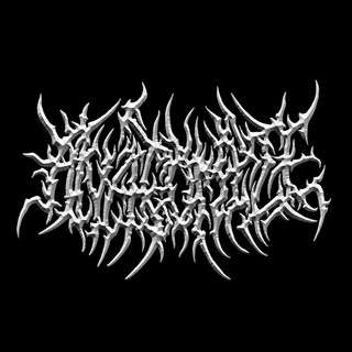 Anatomize