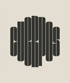 Babasonicos