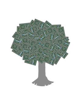 Branch