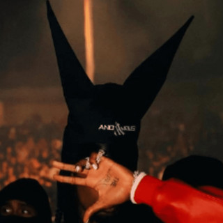 plxboi