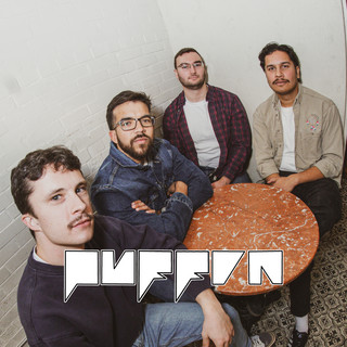 Puffin