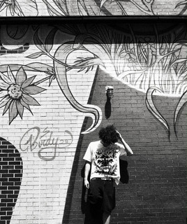 ArtistLando