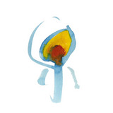 Nujabes / ヌジャベス | 100Artist.com