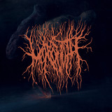 Argentine doom project MONOVOTH channels global despair and