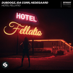 Écouter "Hotel Fellatio" de Dubdogz