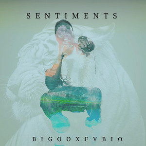 Sentiments cover