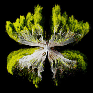 Écouter "Along Came Polly (Konstantin Sibold, ZAC, CARMEE Remix)" de Rebūke