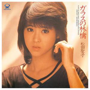 あ*ん様 ★デッドストック!!★松田聖子★1983★グリコ★非売品★横断幕★昭和 松田聖子「ガラスの林檎」｜歌謡曲アーカイブス Vol.9 - Always
