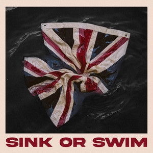 Sink Or Swim artwork