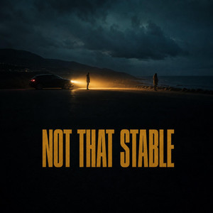 Not That Stable artwork