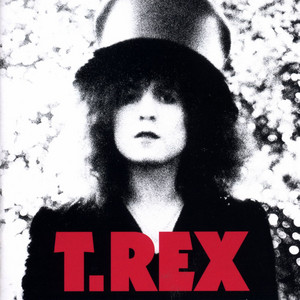 Écouter "Rock On" de T. Rex