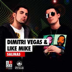Écouter "Salinas Tim Berg Rmx" de Like Mike