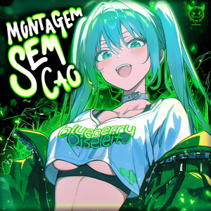 MONTAGEM SEM CAO - Slowed