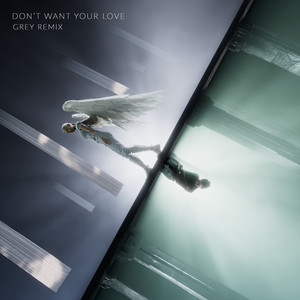 Don't Want Your Love (Grey Remix)