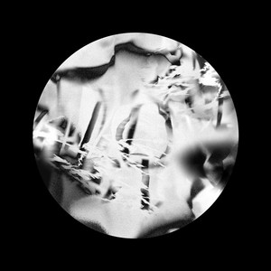 PELICAN FANCLUB – PELICAN FANCLUB（2015） | Sleep like a pillow