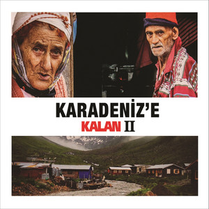 Salına Salına