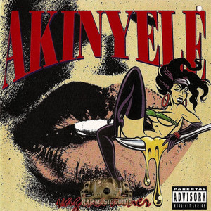 シュリンク付き AKINYELE vagina diner ORIGINAL盤 Akinyele's Debut Album 'Vagina Diner' Turns 25 | An Anniversary
