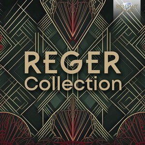 クラシック 23discs CD Various Reger: Complete Chamber Music  DACA77500  /02420 Reger Collection (1) - Brilliant Classics