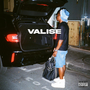 Valise