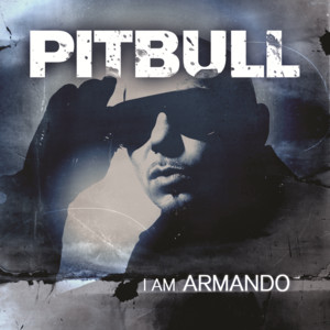 Écouter "Maldito Alcohol (Pitbull vs. Afrojack)" de Afrojack