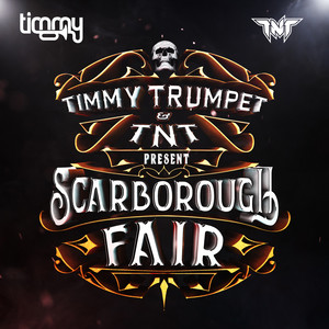 Écouter "Scarborough Fair" de Timmy Trumpet