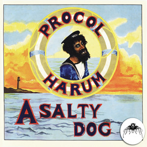 PROCOL HARUM / A SALTY DOG [LP - GXG1028]：60'S ROCK：アナログ