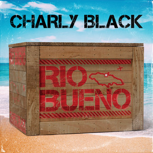 Écouter "You're Perfect" de Charly Black