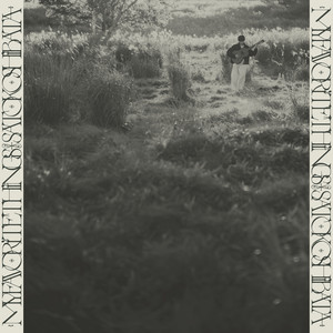 柴田聡子 / MY FAVORITE THINGS [LP - DDJB-91252]：JAPANESE