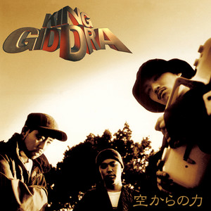 空からの力:30th ANNIVERSARY EDITION (2LP)/KING GIDDRA/キングギドラ