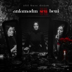 Anlamadın Sen Beni