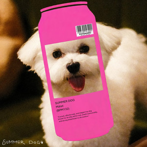 犬とビールを愛するSUMMER DOG、マルチーズの声をサンプリングしたUK