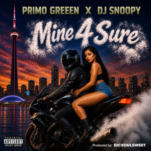 Mine 4 Sure cover