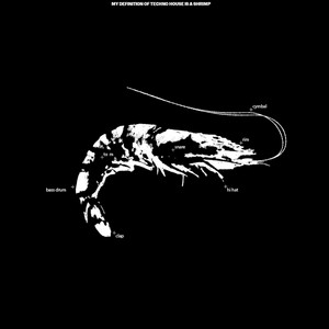 SPACE TEDDY COLLECTION/EBI (SUSUMU YOKOTA)/リプレス!!! 早逝の天才