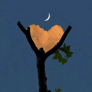 romanticqd artwork