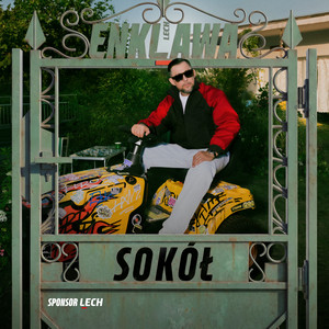 Sokół