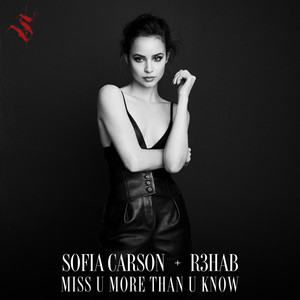 Écouter "Miss U More Than U Know" de R3HAB