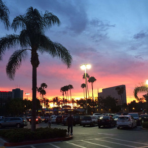 Écouter "sunset dreams" de lucidbeatz