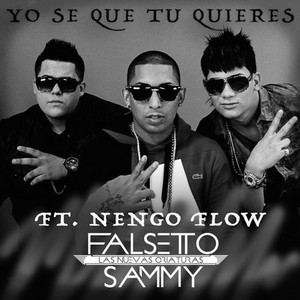 Écouter "Yo Sé Que Tú Quieres" de Ñengo Flow