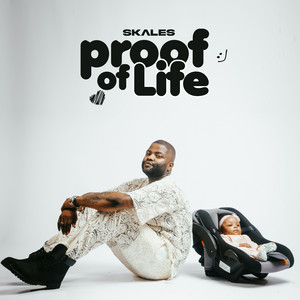 Écouter "Don't Say Much" de Skales
