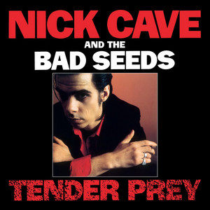 Écouter "Deanna - 2010 Remaster" de Nick Cave & the Bad Seeds
