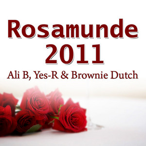 Écouter "Rosamunde 2011" de Ali B