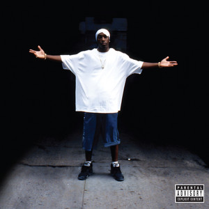 Big L『u aint gotta chance』｜レビュー＆解説 - HIPHOPCs