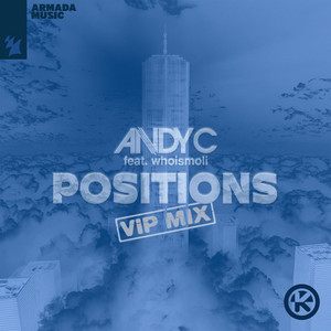 Écouter "Positions - VIP Mix" de Andy C