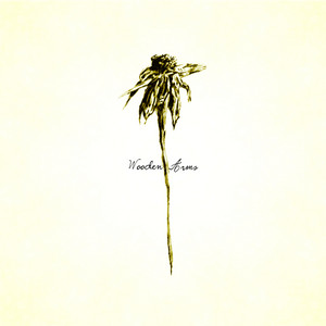 Écouter "Big Bird In A Small Cage" de Patrick Watson