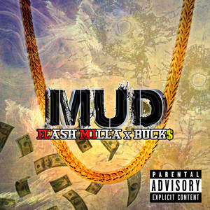 Mud cover