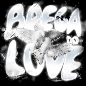 BREGA DO LOVE (SLOWED)
