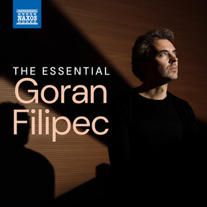 Écouter "No. 19 in E-Flat Major (Arr. M. Zadora for Piano)" de Niccolò Paganini