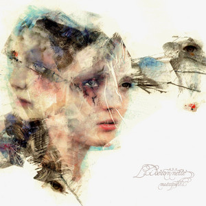 matryoshka CD 4枚セット Laideronnette (ゴールド・ヴァイナル仕様/2枚組/重量盤レコード
