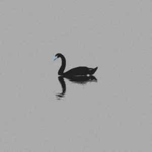 Alone 2 — iwamizu