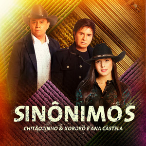 Écouter "Sinônimos" de Chitãozinho & Xororó